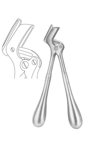 Plaster Shears